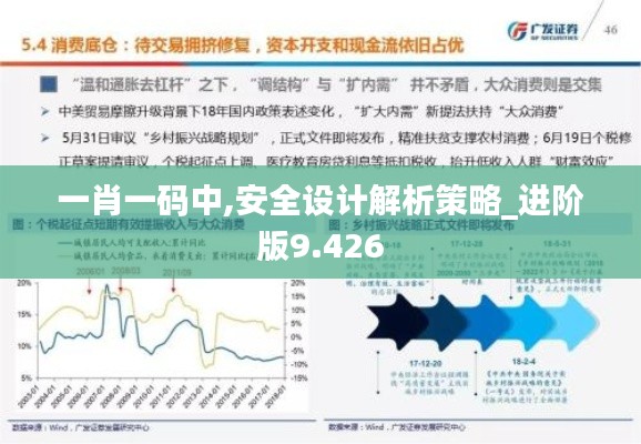 一肖一码中,安全设计解析策略_进阶版9.426