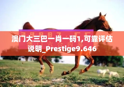 澳门大三巴一肖一码1,可靠评估说明_Prestige9.646