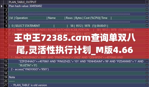 王中王72385.cσm查询单双八尾,灵活性执行计划_M版4.664