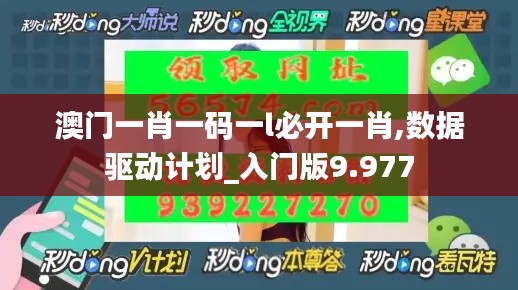 澳门一肖一码一l必开一肖,数据驱动计划_入门版9.977