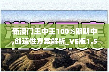 新澳门王中王100%期期中,创造性方案解析_VE版1.513