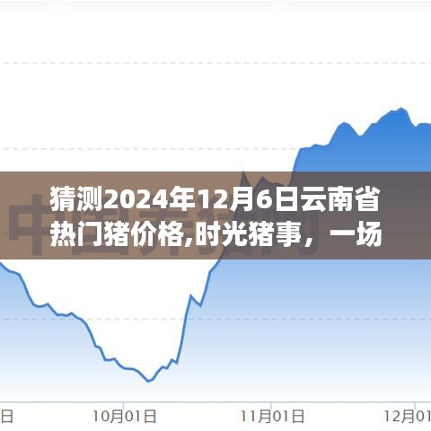 时光猪事，揭秘2024年12月6日云南省猪价预测之旅