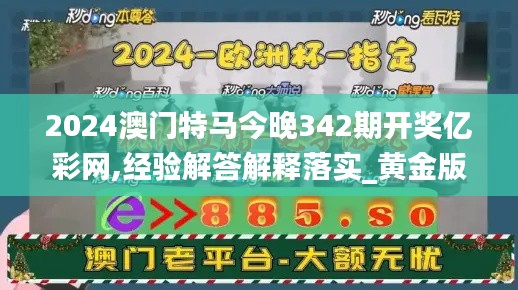 2024澳门特马今晚342期开奖亿彩网,经验解答解释落实_黄金版13.544