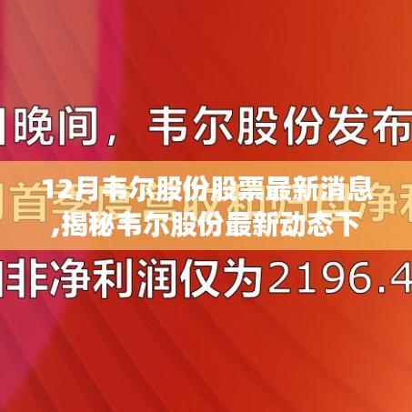 韦尔股份最新动态揭秘，股市魅力与独特风味的小巷特色小店探索