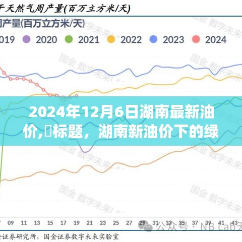 湖南油价更新背后的绿色之旅，寻找内心平静的奇妙探险之旅