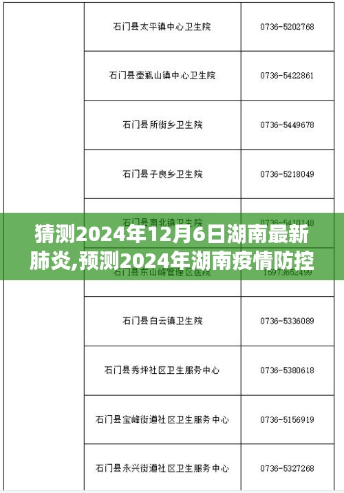 猜测2024年12月6日湖南最新肺炎,预测2024年湖南疫情防控新态势，洞悉未来挑战与应对策略