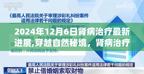 肾病治疗革新探索，最新进展与穿越自然秘境的宁静探索（2024年12月6日）