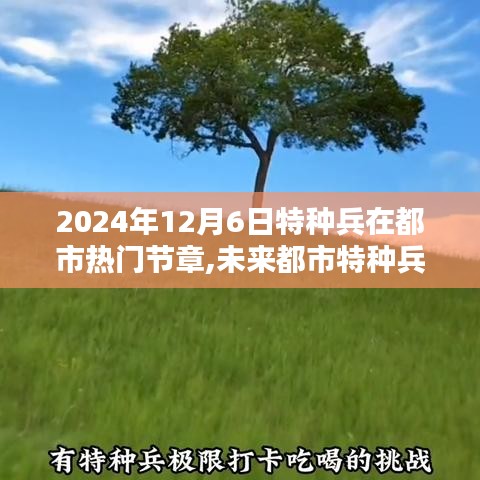 2024年12月8日 第4页