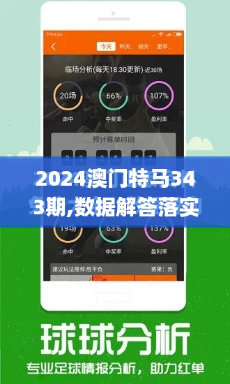 2024澳门特马343期,数据解答落实_高级款9.675