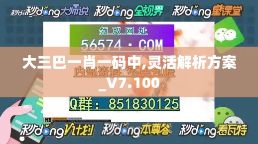 大三巴一肖一码中,灵活解析方案_V7.100