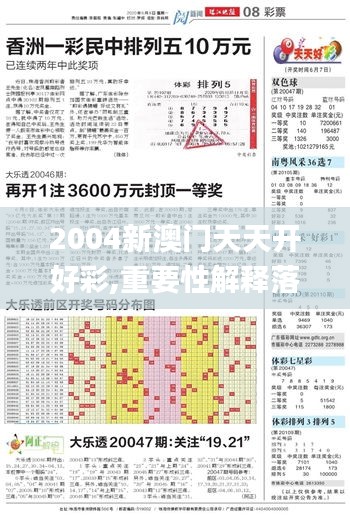 2004新澳门天天开好彩,重要性解释落实方法_体验版2.591