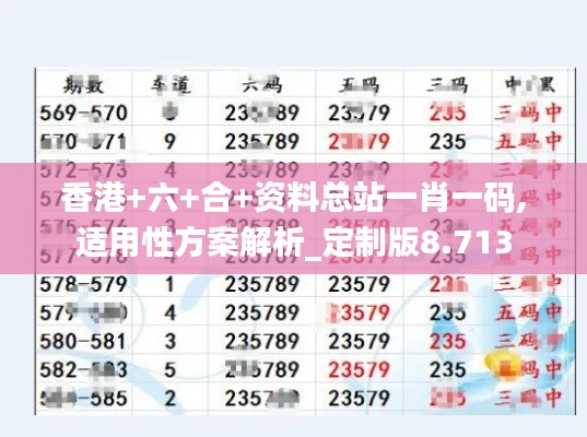 香港+六+合+资料总站一肖一码,适用性方案解析_定制版8.713