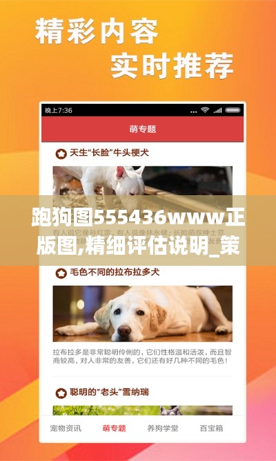 跑狗图555436www正版图,精细评估说明_策略版7.725