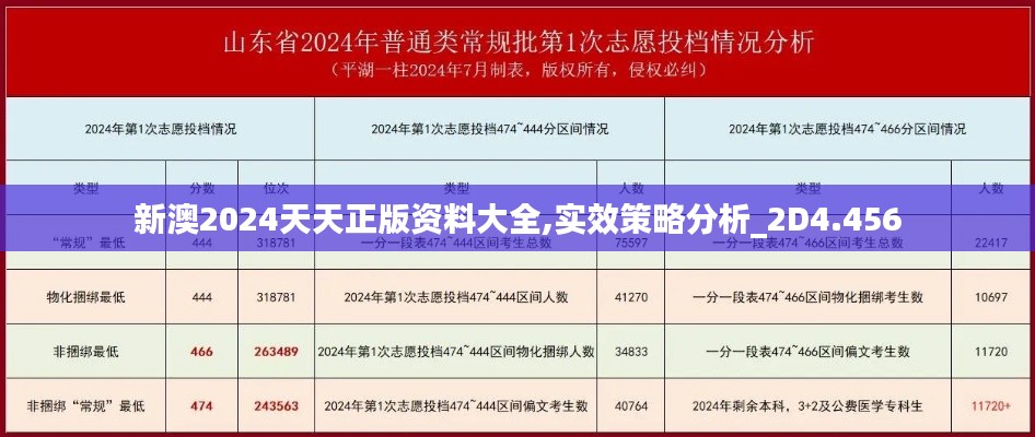 新澳2024天天正版资料大全,实效策略分析_2D4.456