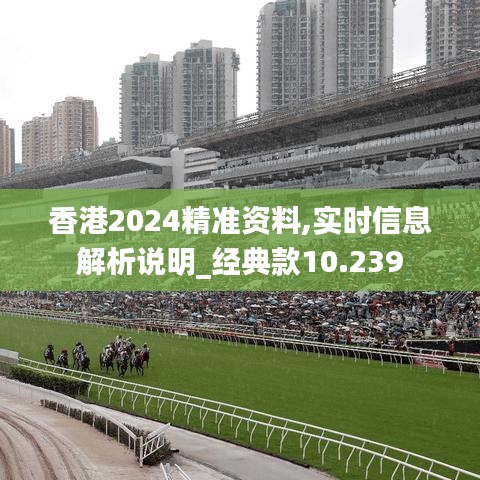 香港2024精准资料,实时信息解析说明_经典款10.239