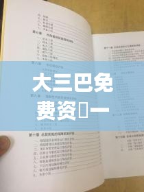 大三巴免费资枓一肖,标准化实施评估_豪华版7.639