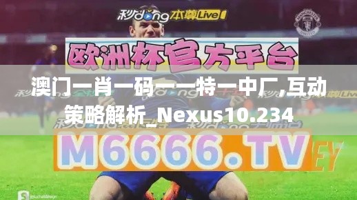 澳门一肖一码一一特一中厂,互动策略解析_Nexus10.234