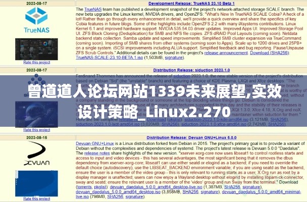 曾道道人论坛网站1339未来展望,实效设计策略_Linux2.270