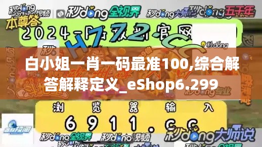 白小姐一肖一码最准100,综合解答解释定义_eShop6.299