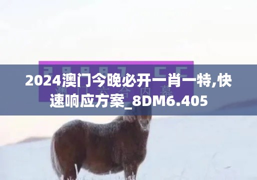 2024澳门今晚必开一肖一特,快速响应方案_8DM6.405