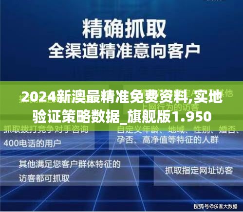 2024新澳最精准免费资料,实地验证策略数据_旗舰版1.950