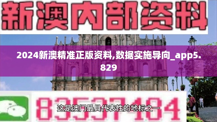 2024新澳精准正版资料,数据实施导向_app5.829