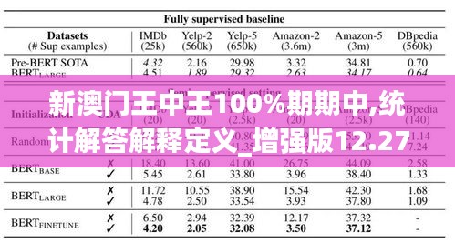 新澳门王中王100%期期中,统计解答解释定义_增强版12.275