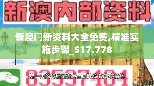 新澳门新资料大全免费,精准实施步骤_S17.778