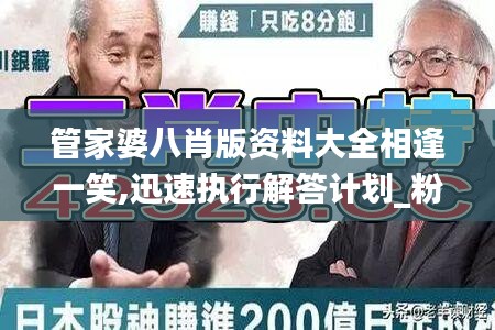 管家婆八肖版资料大全相逢一笑,迅速执行解答计划_粉丝款1.703