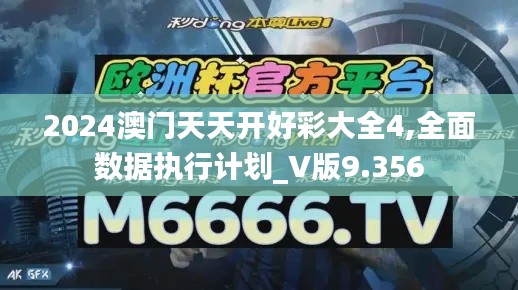 2024澳门天天开好彩大全4,全面数据执行计划_V版9.356