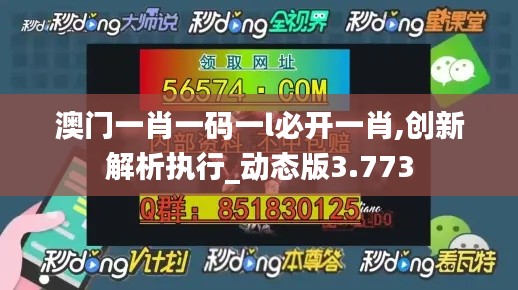 澳门一肖一码一l必开一肖,创新解析执行_动态版3.773