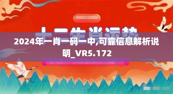 2024年一肖一码一中,可靠信息解析说明_VR5.172