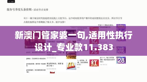 新澳门管家婆一句,适用性执行设计_专业款11.383