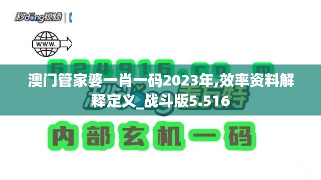 澳门管家婆一肖一码2023年,效率资料解释定义_战斗版5.516