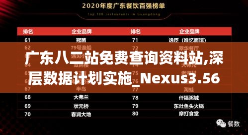 广东八二站免费查询资料站,深层数据计划实施_Nexus3.562