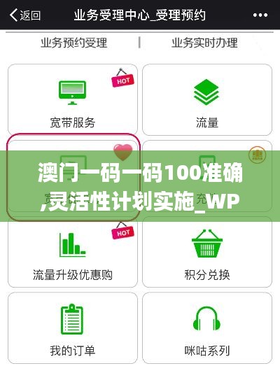 澳门一码一码100准确,灵活性计划实施_WP版7.240