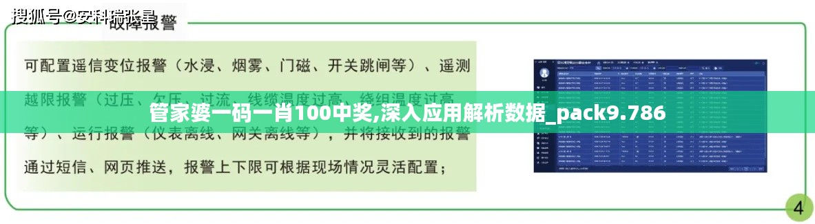 管家婆一码一肖100中奖,深入应用解析数据_pack9.786