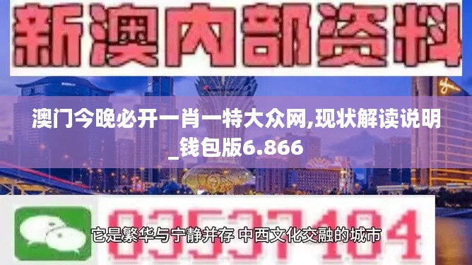 澳门今晚必开一肖一特大众网,现状解读说明_钱包版6.866