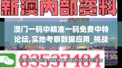 澳门一码中精准一码免费中特论坛,实地考察数据应用_挑战款10.191