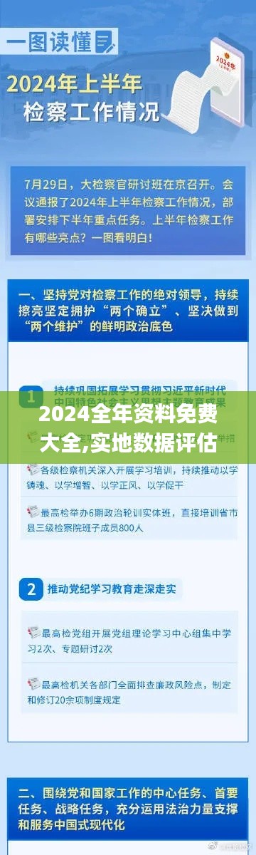 2024全年资料免费大全,实地数据评估策略_策略版3.168