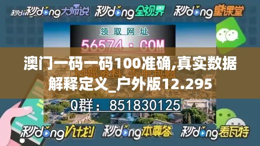 澳门一码一码100准确,真实数据解释定义_户外版12.295