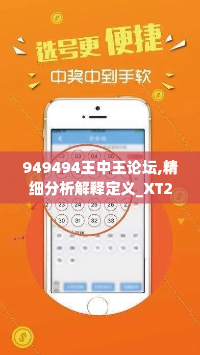 949494王中王论坛,精细分析解释定义_XT2.641