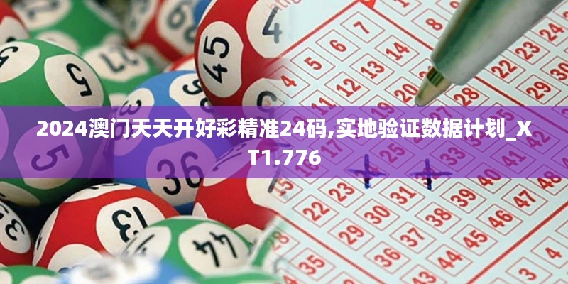 2024澳门天天开好彩精准24码,实地验证数据计划_XT1.776