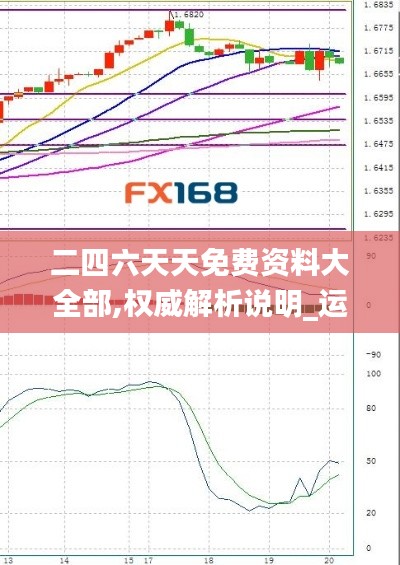 二四六天天免费资料大全部,权威解析说明_运动版6.650