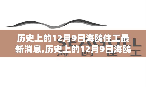 揭秘历史上的海鸥住工在12月9日的最新消息回顾