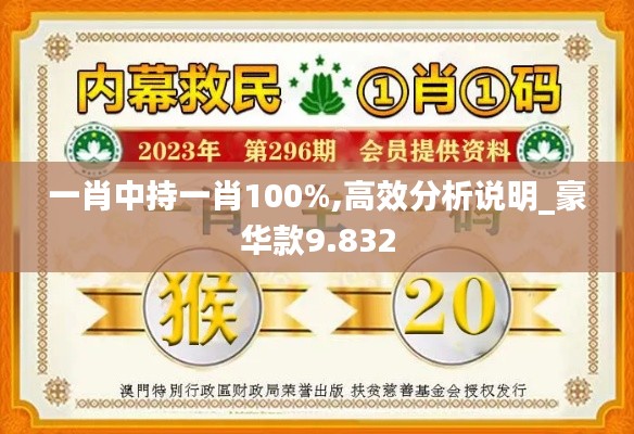 一肖中持一肖100%,高效分析说明_豪华款9.832