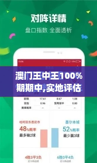 澳门王中王100%期期中,实地评估说明_WP版8.561