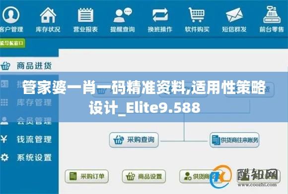 管家婆一肖一码精准资料,适用性策略设计_Elite9.588