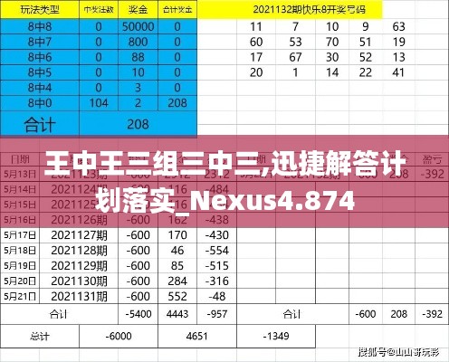 王中王三组三中三,迅捷解答计划落实_Nexus4.874