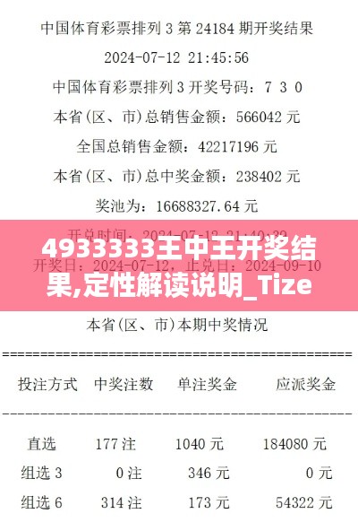 4933333王中王开奖结果,定性解读说明_Tizen16.882